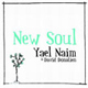new-soul